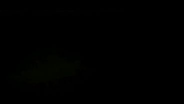 xv_15_t-175